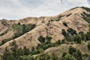 Hills of Big Sur 