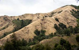 Hills of Big Sur