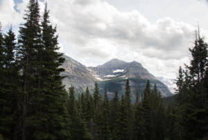 Logan Pass