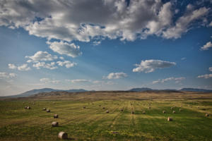 Planes of Montana 